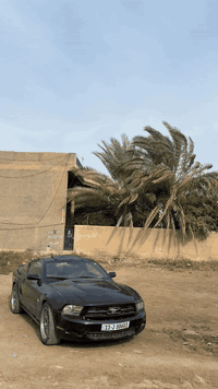 موستنج للبيع تفاصيل وسعر خاص . ***********
