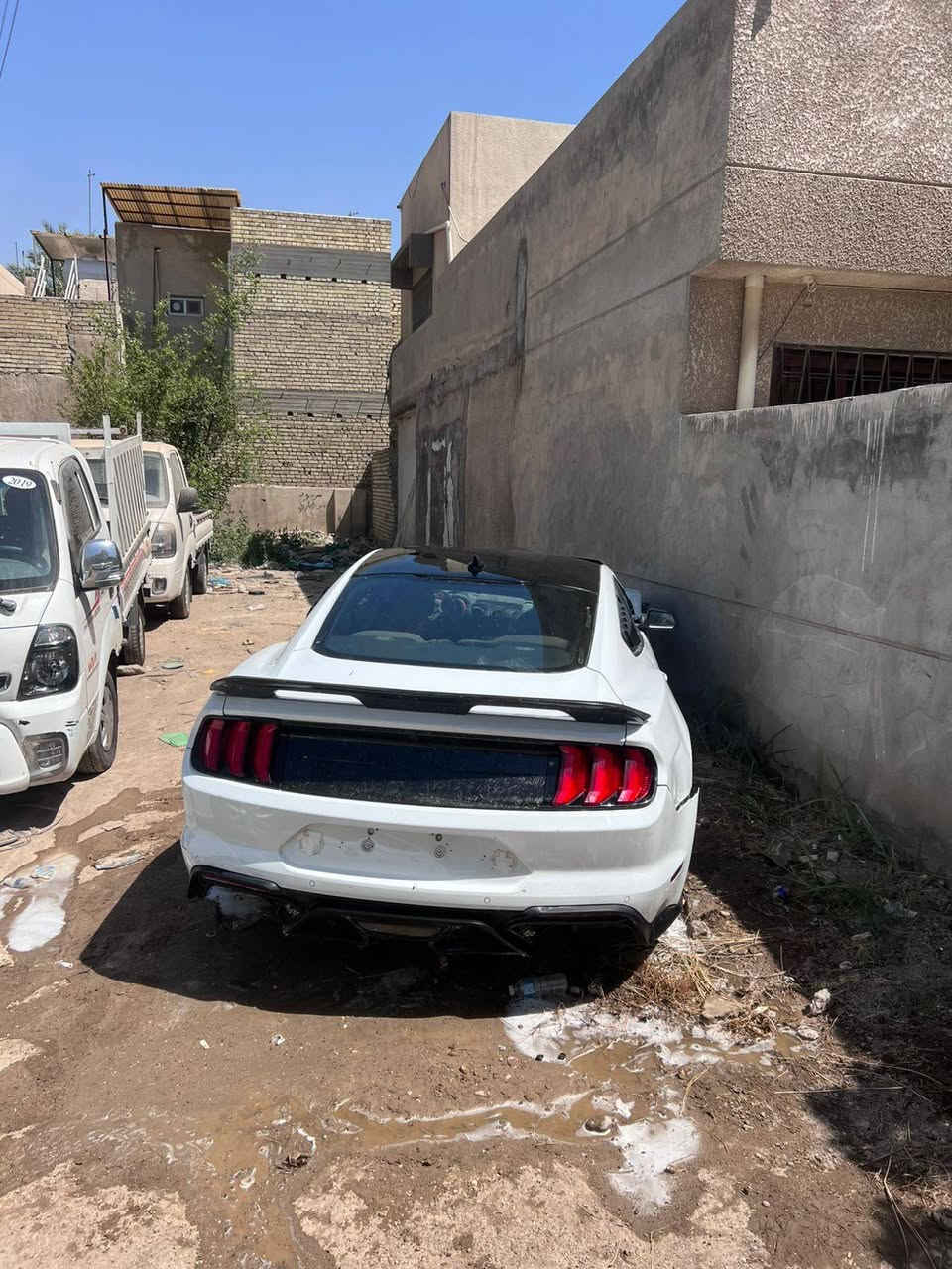 مـوستنك موديل 2022 للبيع  بلاك ادشن 
أيـكو بوست سعة المحرك 2.3L تون تيربو 
على حادثها أبيع واقع حال 
رقم شـمالي الجديد إنكليزي 
مـعروفة مواضفات الـ إيـكو بوست . 
مـلاحظة / اللون مذكور
ب السنويه ابيض +اسود
حادث امريكا  باب السايق وجاملغ امامي 
 
العـنوان : زيـونة 
 
رقم الهاتف : ***********
