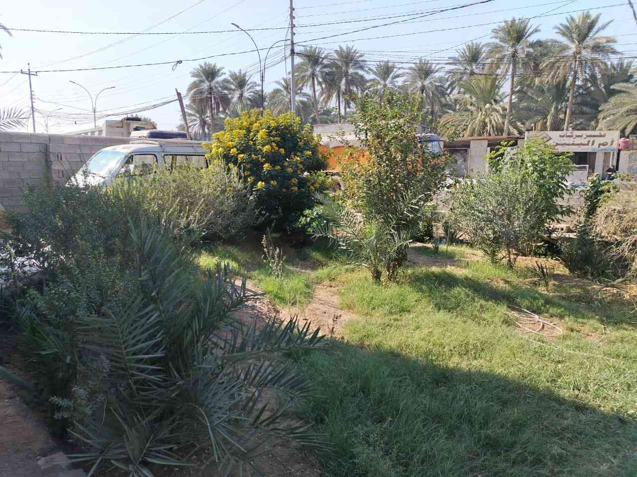 قطعة مساحة 1100 متر مع دار سكن مساحة 175متر  مع باتلو بنفس خارطة البيت والمتبقي حديقة مثمرة متنوعة الأشجار مفوض بالطابو سند 25 في منطقة الإبراهيمية / بزل مطشر مباشرة على الشارع الرئيسي السايدين واجهة القطعة تجارية 26 متر مع كافة الخدمات. 
الاتصال ***********
           ***********
           *********** كربلاء, العراق
