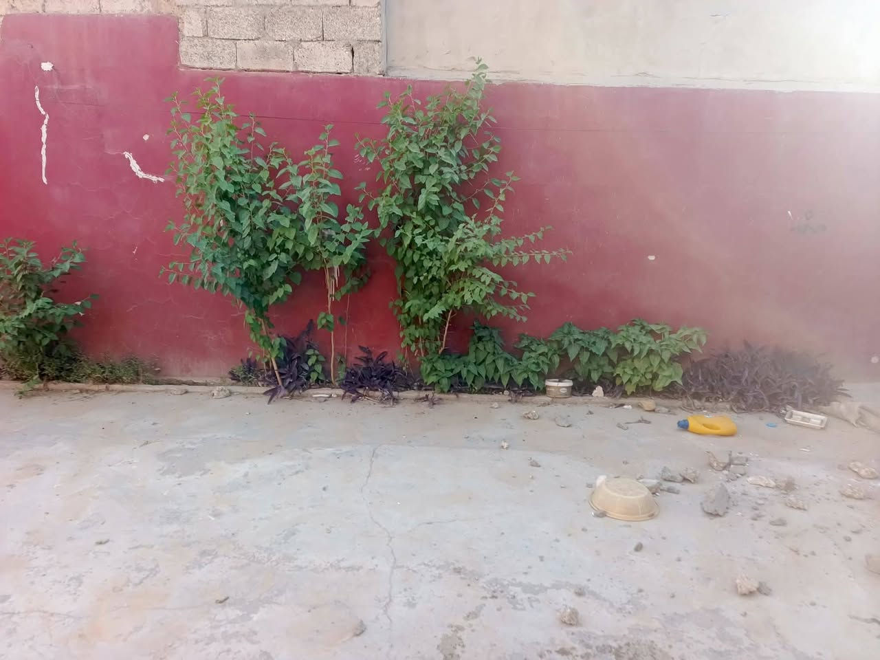 بِسْمِ‌ اللَّهِ ‌الرَّحْمَنِ ‌الرَّحِيمِ‌ 
بەنرخی بازاڕی ئەمۆ خانویەکی.زۆۆر
هەرزان.ماڵی تۆستە..لەگازینۆی.ازادی
کە8.50.پانە..21درێژە..بیری.تیایە
خانوەکەشەرقیە.بەڵام ژیانی تیادا
دەکرێت.دەساڵی تریش..بۆدووکەس
زۆۆرباشە
یەکەم. .کەم درامەت.وکرێجی.کەئیتر
لەکرێ ڕزگاری بێت....

دووەم..بۆقازانج کرد.بۆنمونە.دەتوانی
بیکەی بەدووخانو..5..بە..20...وە

3..بە20....بەڕێزان.نرخی کۆتایی
لای ئێمەیە.ئەویش...
  ***********.وڵام وەردەگری
تێبینی..
ڕووی خۆری بەیانیە
زۆرلەجادەدوورنیە
دراوسێی زۆربەڕێزی لێیە
