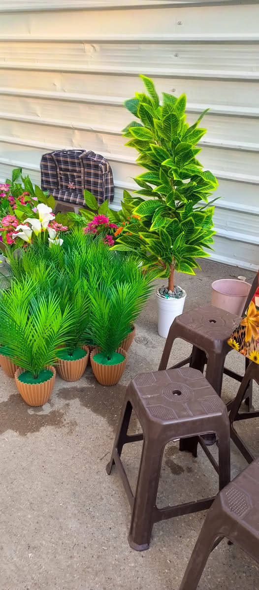 انواع الوردللبيع بعقوبه قرب مرطبات الامير ***********
