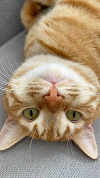 شقق عدالة • ١٠٥م • طابق ثاني