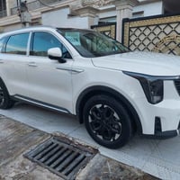 سورنتو • ٢٠٢٤ • ٢٠٠٠٠ كم