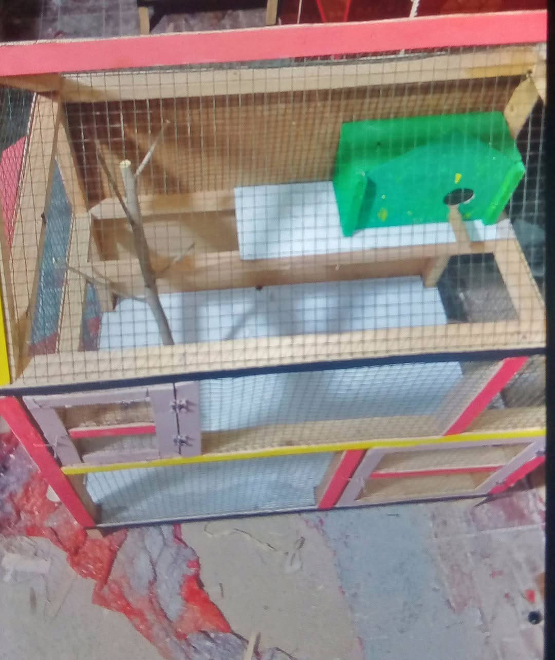 قفص للبيع جديد


**إذا كنت صاحب هذا الإعلان وتريد حذفه لأي سبب، رجاءا أرسل رسالة إلى الدعم الفني**