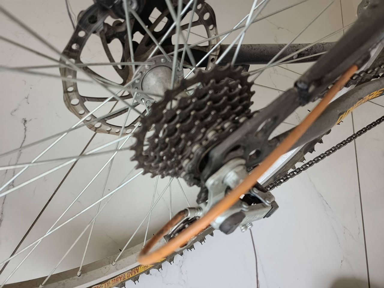 للبيع جبلي نظيف
گير جديد 10 نمرة 
ويل خلفي جديد 
ويل امامي مامبدل اصلي 
تايرات جبلي 
معاه قفل ومفتاح 
عجلة ورا مبدل جديد 
بايدار فافون اصلي 
السعر 65 الف فقط وبيه مجال 🔥
***********
