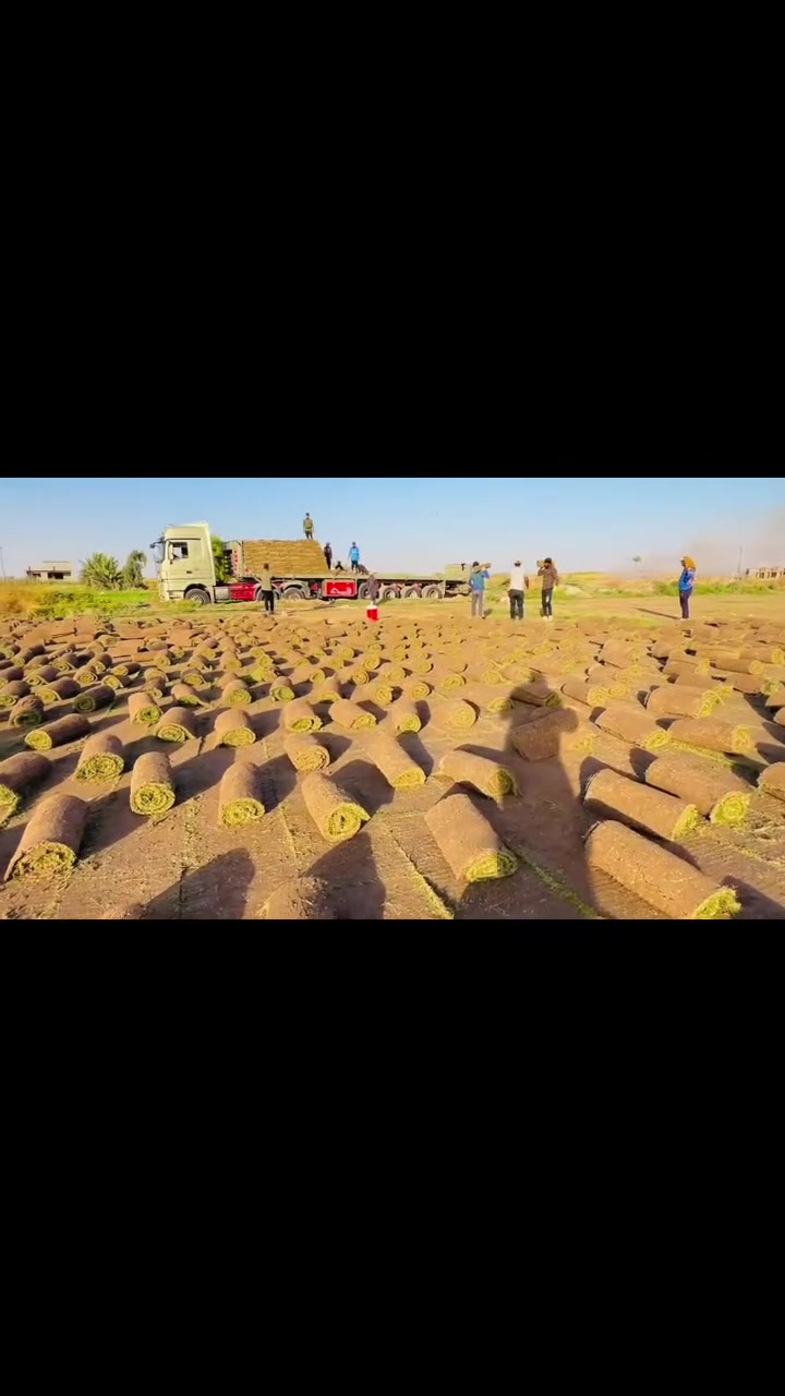 اي استفسار هاذه رقمي 
***********
