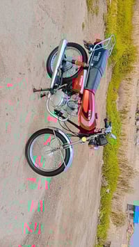 سكنس • كفاله عامه • ٢٠٢٦