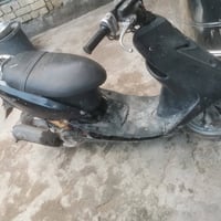 عصفوريه • شغاله • سلف