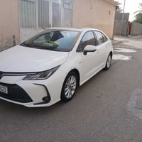 كورلا • ٢٠٢٤ • رقم بغداد