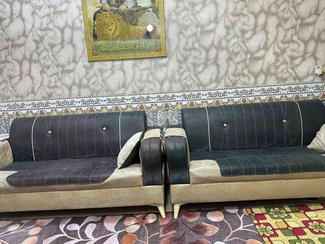 تخم 10 مقاعد للبيع
الرقم للستفسار واتس اب ***********
