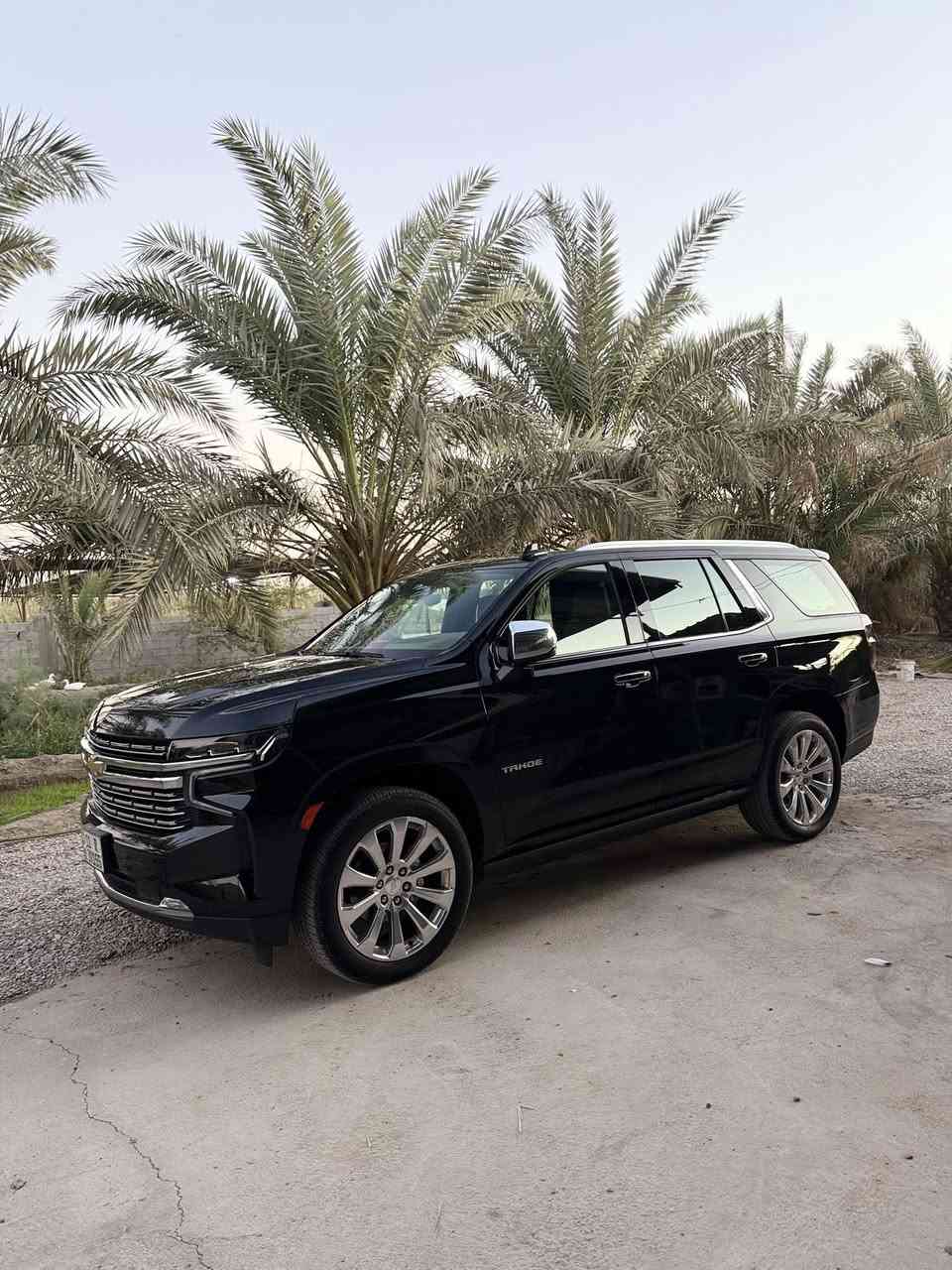 سلام عليكم تاهو بريمير ٢٠٢٣مكفوله كفاله عام ماشيه ٣٠ /////***********
