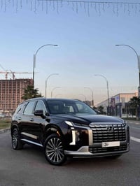 باليسايد • ٢٠٢٤ • دفع رباعي