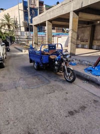 ستوته • موديل 23 • أوراق أصولي