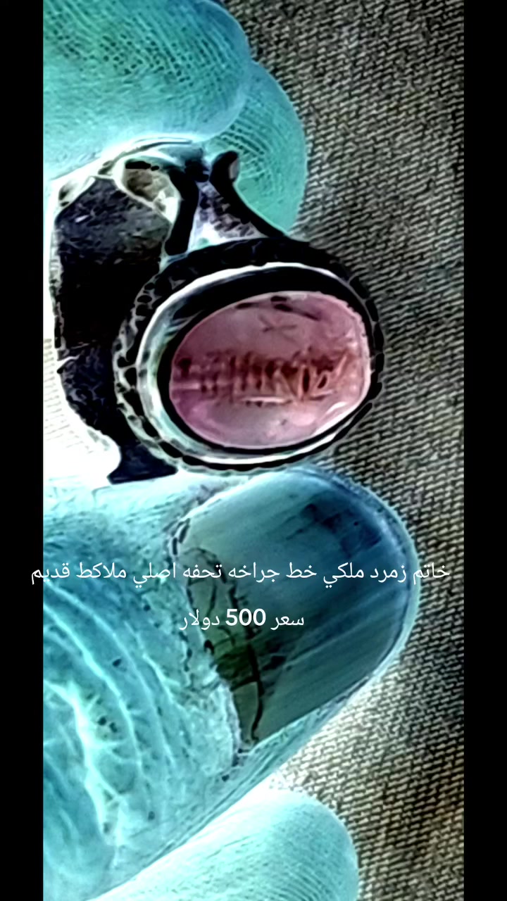 زمرد ملكي جراخه خط كوفي ملاكط مرصود مشكوله تحفه اصلي لعيونكم سعد الناصري سعر 500 دولار


**إذا كنت صاحب هذا الإعلان وتريد حذفه لأي سبب، رجاءا أرسل رسالة إلى الدعم الفني**