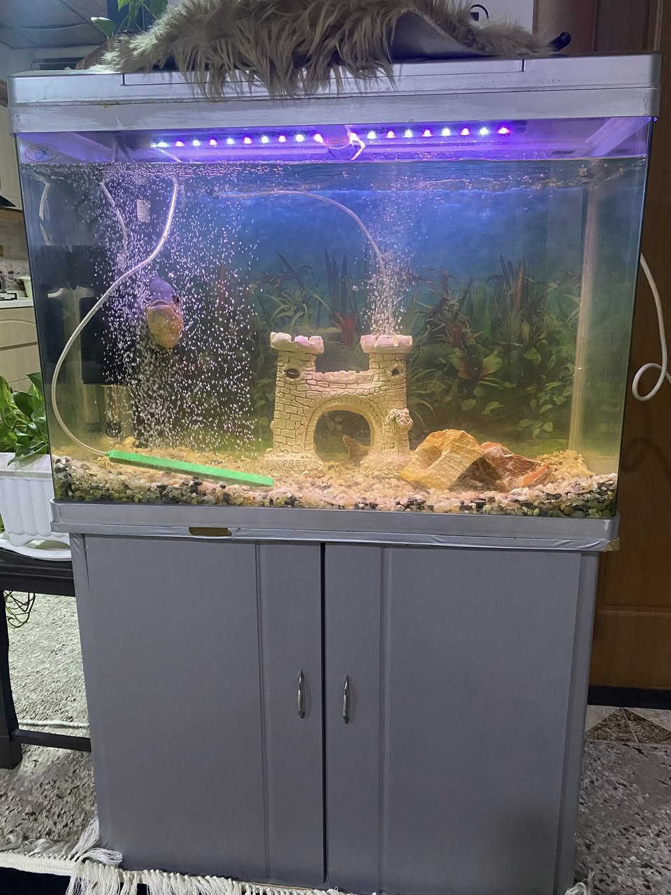 حةوزى ماسى قياسى كةورة دريزى ٨٣ سم و فلتةرى شةريكة و ليدى ٦٠ سم خوى لةكةلة و ميزى شةريكةى لةكةلة و كاملة


**إذا كنت صاحب هذا الإعلان وتريد حذفه لأي سبب، رجاءا أرسل رسالة إلى الدعم الفني**