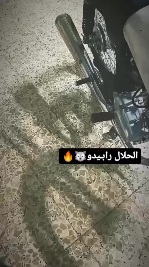 سلام عليكم دراجه رابيدو البيع مكينه جديده برغي ما مفتوح بيها بجيس خرسه سلولي ونعومه تخبل غراض كله جدد ونصبته تخبل كدام عيونك سعر 600 بيها مجال قليل رجائن المو شراي لا يراسلني


**إذا كنت صاحب هذا الإعلان وتريد حذفه لأي سبب، رجاءا أرسل رسالة إلى الدعم الفني**
