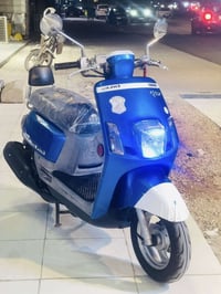 بلوسي • ماكس • كفاله