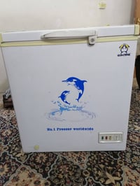 مجمدة • تجميد كامل • اوكما