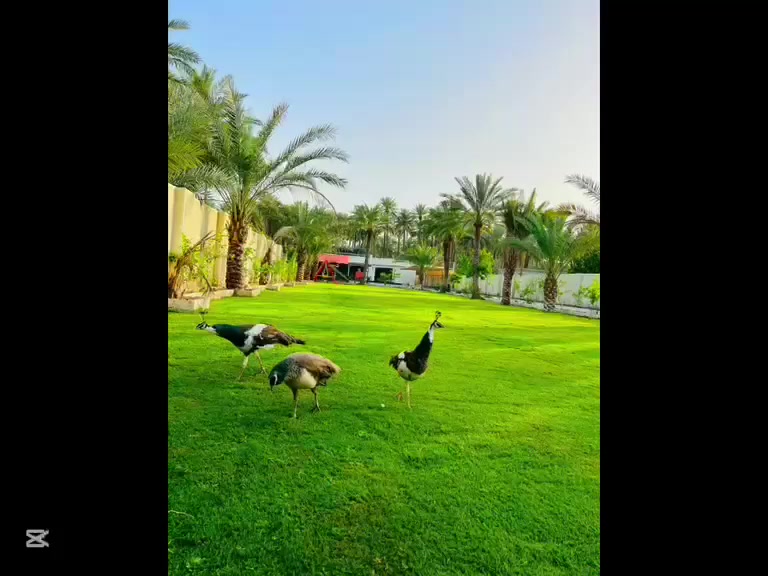 اعلان
عن مزرعه للبيع 

ملك صرف زراعي الوجه 

25 نزل 112 طابو كاظميه 

2800 متر الكلي

الدار مساحته 130 متر 

صاله مطبخ مفتوح 

وغرفتين نوم وخدمات 

ومسبح حار بارد 

ومحميات الحيوانات

ونخيل البرحي والحمضيات 

وطاقه شمسية40 امبير 

الاستفسار مكتب المصطفى 

السعر خاص واتساب
***********
