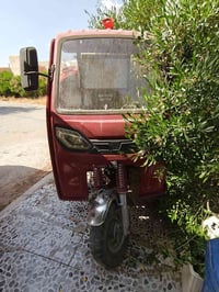 ستوته • فحل • مستعجل