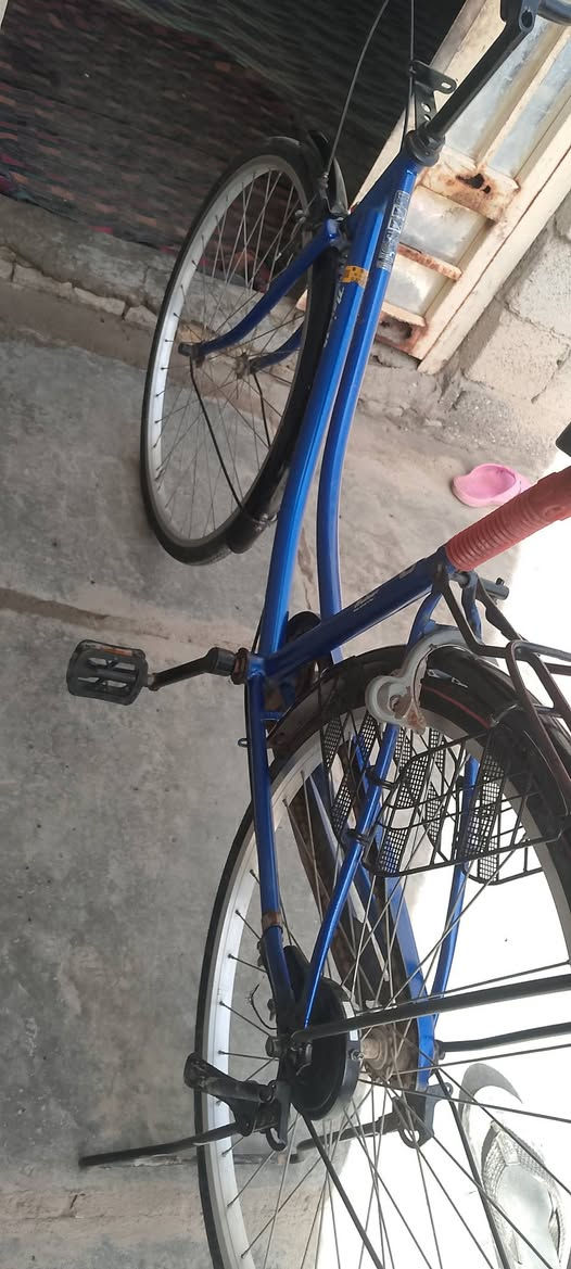 باسكل ياباني كرتون موديل 19ابلاد ما مبدل كلش ختم الستيرن المكان شطره غراف الرقم ***********السعر 120 وبيه مجال مراوس اراوس عادي
