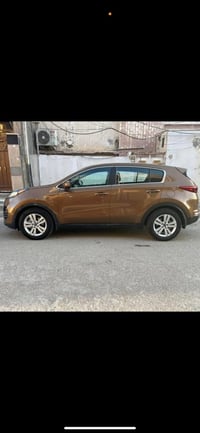 سبورتج • ٢٠١٧ • وارد امريكي