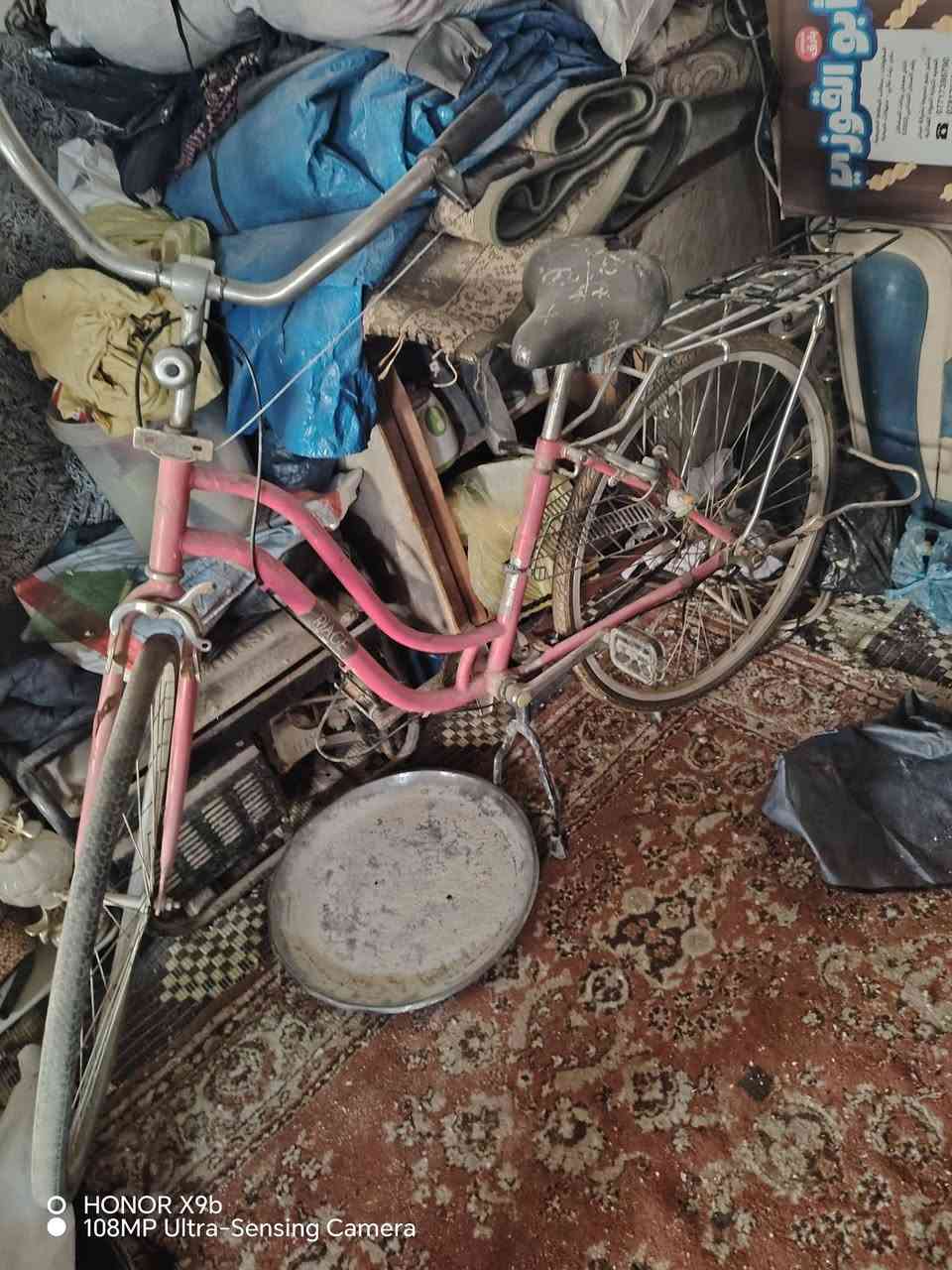 باسكلات للبيع سعر لصفر ٦٠او لوردي 40او بي مجال بصيط جدن لوردي يحتاجله صجم خلفي فقط  او لشراي بي خير او يدلل مكاني كربلاء قنطرت لسلام؟


**إذا كنت صاحب هذا الإعلان وتريد حذفه لأي سبب، رجاءا أرسل رسالة إلى الدعم الفني**