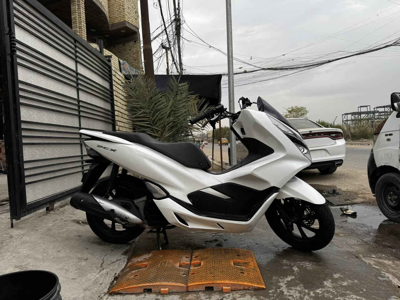 #مال_حاوية. مو مال شارع  للبيع بي سي اكس pcx الجيل الثالث مكفولة كفرها اصلي بيها شخوط بالترايش ومكحلهن فقط وشخط بكفر الصالنصة الباقي اي شي مابيها هيتر باليدات والكشن مكاني بغداد مدينة الصدر 
للاستفسار 
الاتصال او واتساب ماسنجر ما اجاوب 
***********
