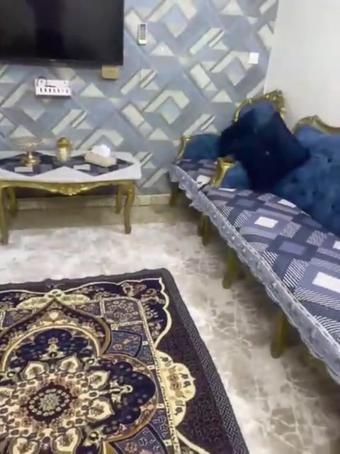 سلام عليكم تخم زان للبيع مع ثلاث طبلات صغار وحدة كبيرة مثل ماموجود بل فيديو
السعر 450بي مجال للاستفسار ***********

