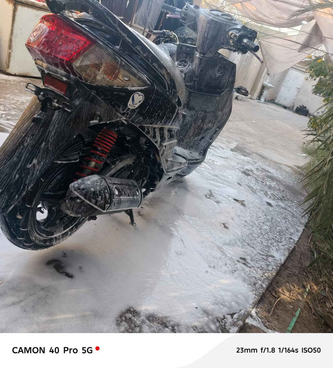 دراجه للبيع سكنس فحل على وضع الحاويه قبل شهرين من نزلته كلشي ابلاد تجي تفحص بيدك برقي ما مفتوح بيه السعر850وبيه مجال للشرايا***********
