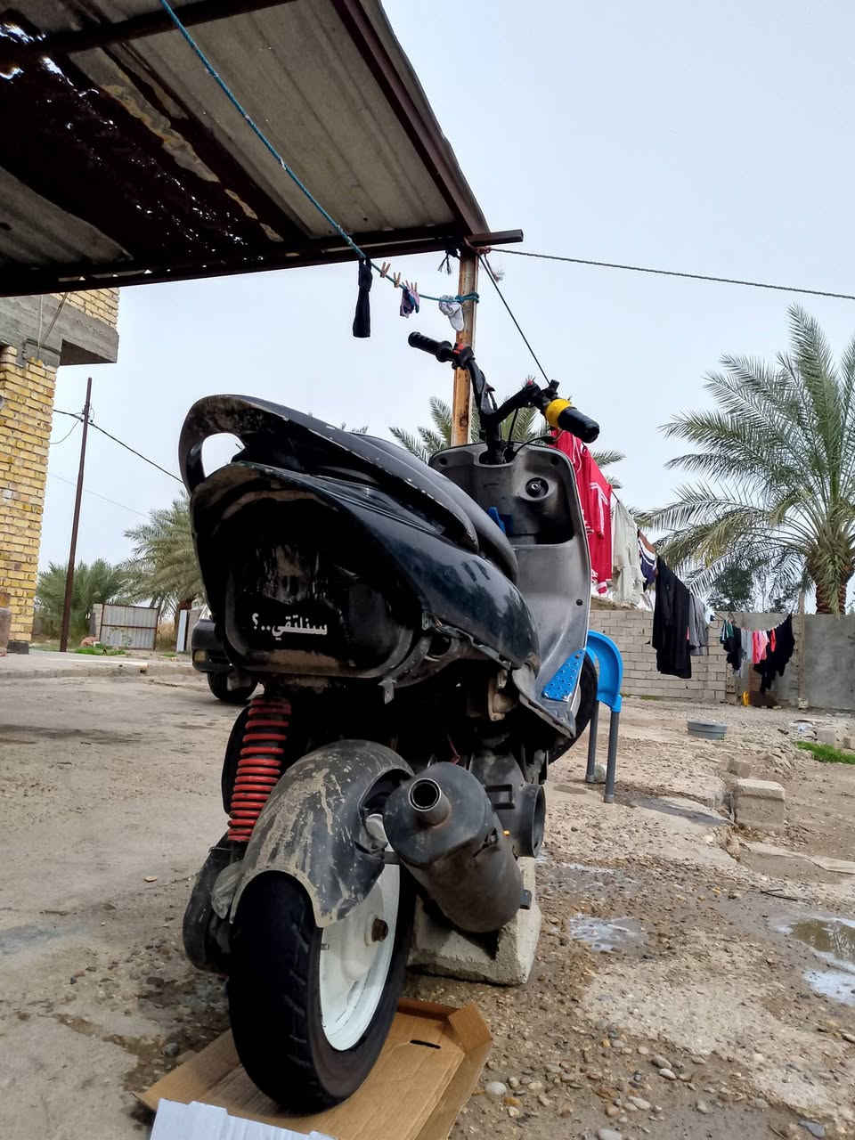 السلام عليكم بسبب الوعود الكاذبه
ماكس منغولي بوشه 55 صالنصهmf كلجات wf دراجه شلعه معدل خير من الله جاهزه قطرة دهن مزوده المكان بابل محاويل نقصها كابريته فقط .

السعر 300 وبيها مجال لشراي 
للاستفسار ***********بي واتساب
