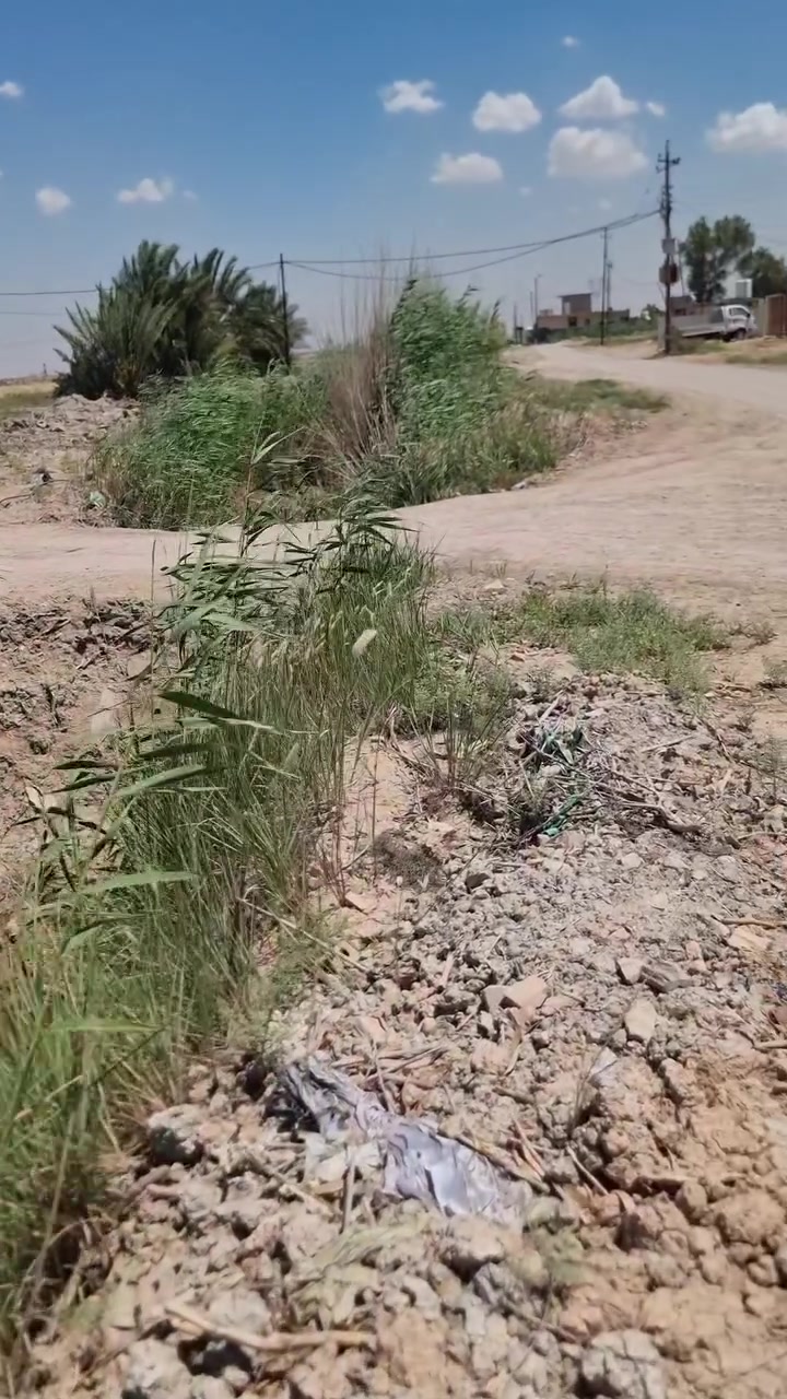 دونمين طابو سند ٢٥ مشيد عليهن ٦ منازل للبيع  موجوده كافة الخدمات 
في ناحية الوحدة منطقة النبع الصافي 
***********
***********
