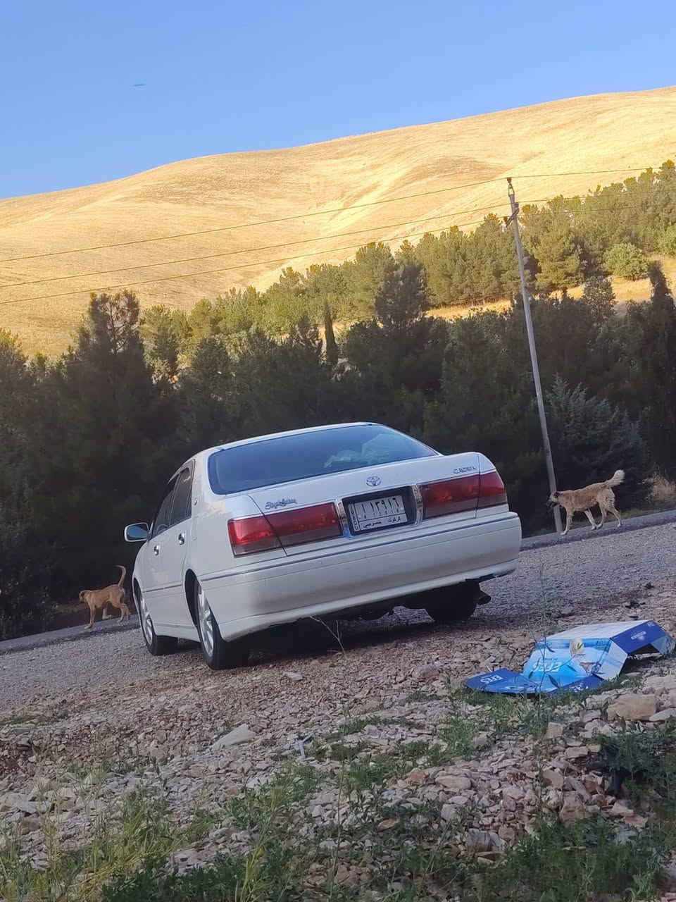 لبيع ملكه موديل 2002 فول 4 دكم عده الفتحه الجناي يعرف معنه 4 دكم رقم كركوك قرار 48 مدفوع كمرك وضريبه باقي ع دفع فلوس الرقم مكان بابل السعر110 الاستفسار ***********
