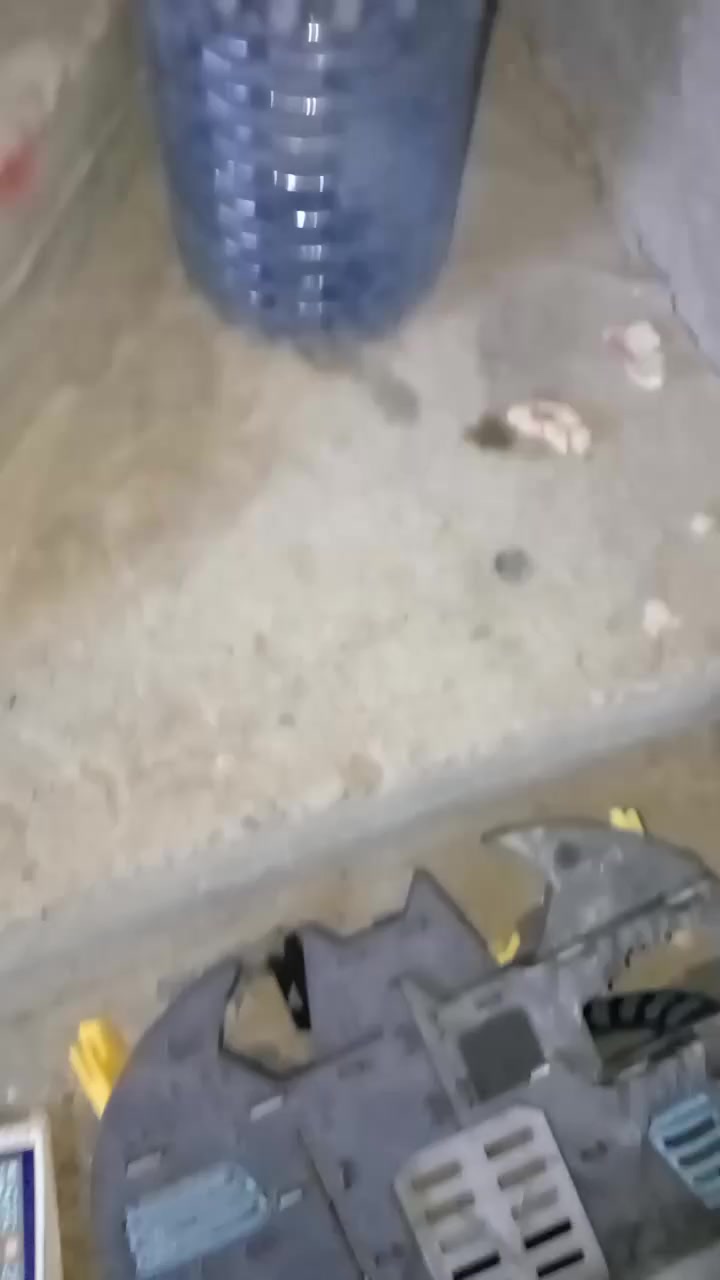 السلام عليكم بيت للبيع منطقه حي الكوفه 100
متر للتواصل هاذا الرقم ***********
