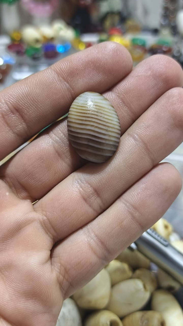 يماني ذنب النحله قديم


**إذا كنت صاحب هذا الإعلان وتريد حذفه لأي سبب، رجاءا أرسل رسالة إلى الدعم الفني**