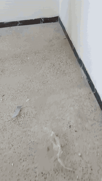 الزبون من حقة يتأكد من جودة العمل واحنة هاي طريقتنا بكل اعمالنا اي شي ...