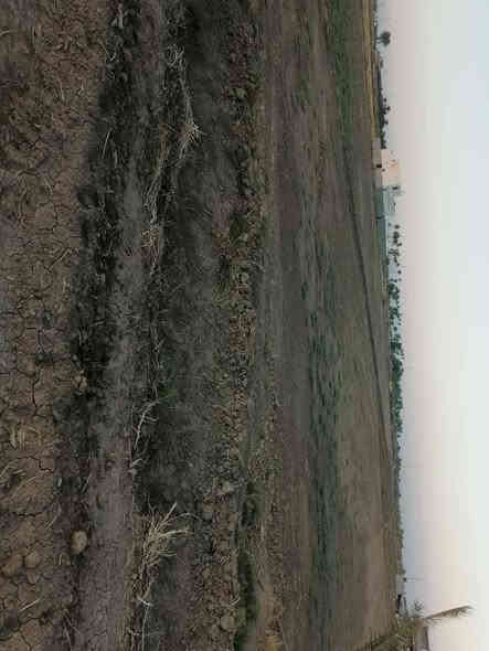 أرض زراعيه للبيع المساحه دونم سند ٢٥ تحويل مباشر
للأستفسار الاتصال فقط

***********

***********
