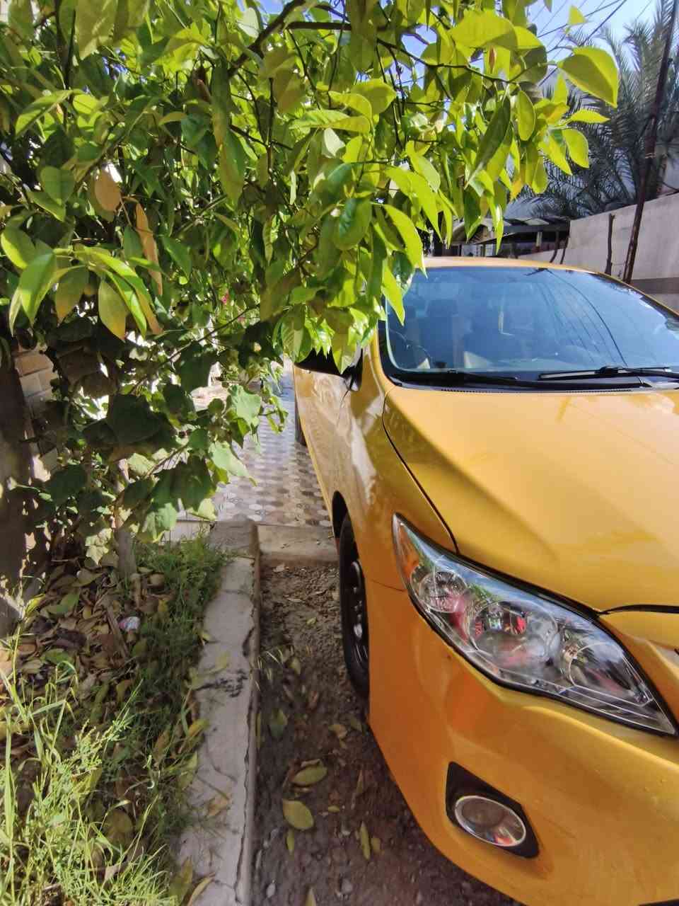 سلام عليكم كورلا موديل 2010 صدر مامي خلفي مكفول تبريد شغالات   تخم تاير  سيارة ما بية اي نقص  مكينة كير جديدة مكينة 1800 مريكي ليبل واحد  بية ضرر بس بنيد رقم سيارة  بغداد سعر 105 للعنوان ديالى بعقوبة تقاطع القدس ستفسار كثر***********
