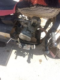 ستوته • أبيض • ديوانية