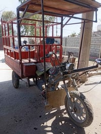 ستوتة • مكينة نظيفة • أوراق ضايعة