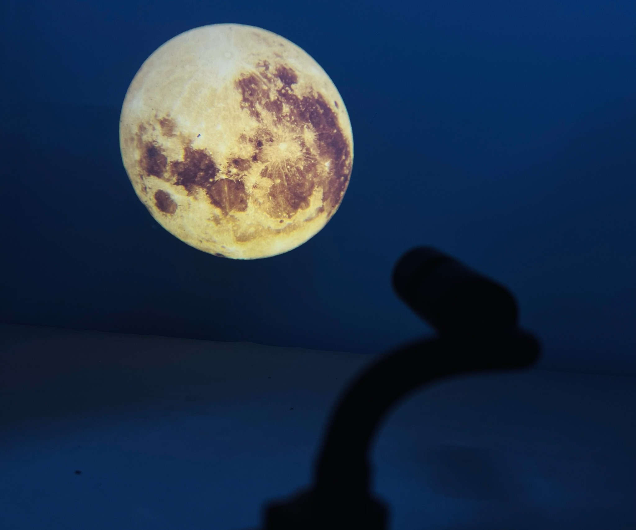 للبيع 

اغراض جديده 

للحجز او للاستفسار خاص


**إذا كنت صاحب هذا الإعلان وتريد حذفه لأي سبب، رجاءا أرسل رسالة إلى الدعم الفني**