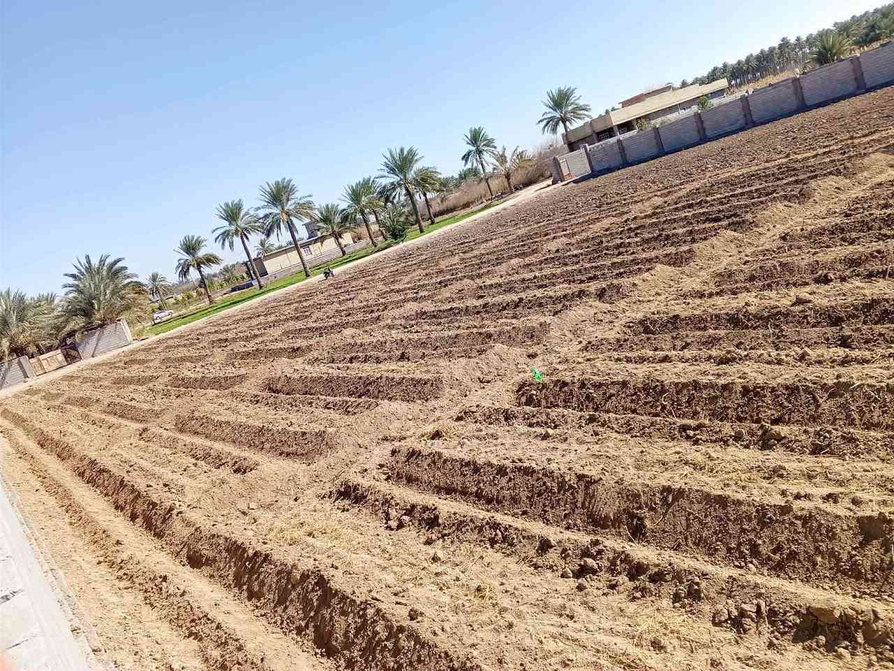 للبيع 

كاع أربعة دوانم ع نهر الفرات 
في الصقلاوية منطقة البعكاش 
استفسار اكثر اتصل ع الرقم 
***********
***********
