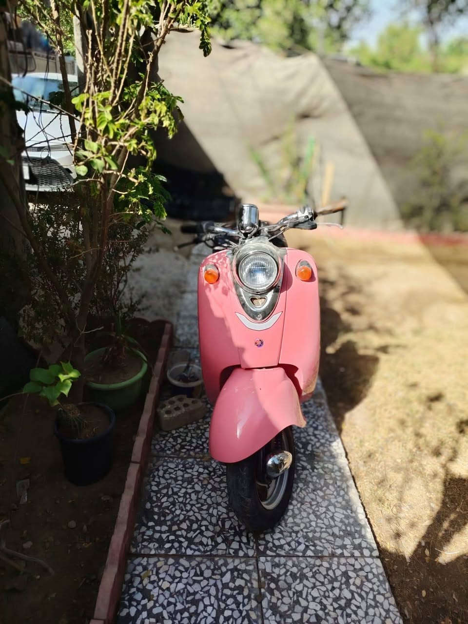 السلام عليكم  للبيع دراجة كلاسيك ستين عبد الحليم نثية كلشي شغال أشاير اكلوب امامي  سلف هندر  دراجة ناعمة وخير من الله السعر 300وبيهة مجال ارقمي ***********متواجد واتساب
