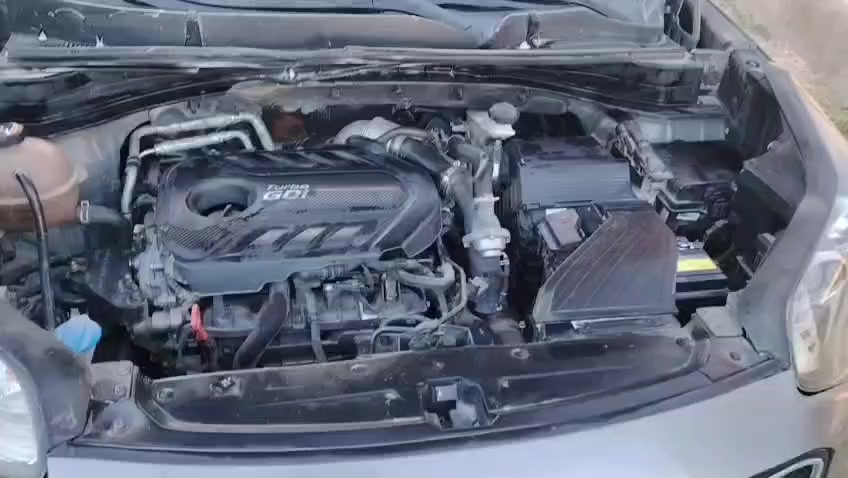 السلام عليكم كيا سبورتاج موديل 2018 فول لاخير اعلى مواصفات xsوارد امريكي حادثة سرقة نفس الغراض طابه وياها بيها  صبغ اربع اصابع جو اليده مال الباب الخلفي سنويه بسمي بأي محافظة تحويل السعر 166وبيهامجال السونار مرفق ويه المنشور


**إذا كنت صاحب هذا الإعلان وتريد حذفه لأي سبب، رجاءا أرسل رسالة إلى الدعم الفني**