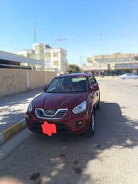 ٢٠١٣ • مصبوغ • مجال قليل