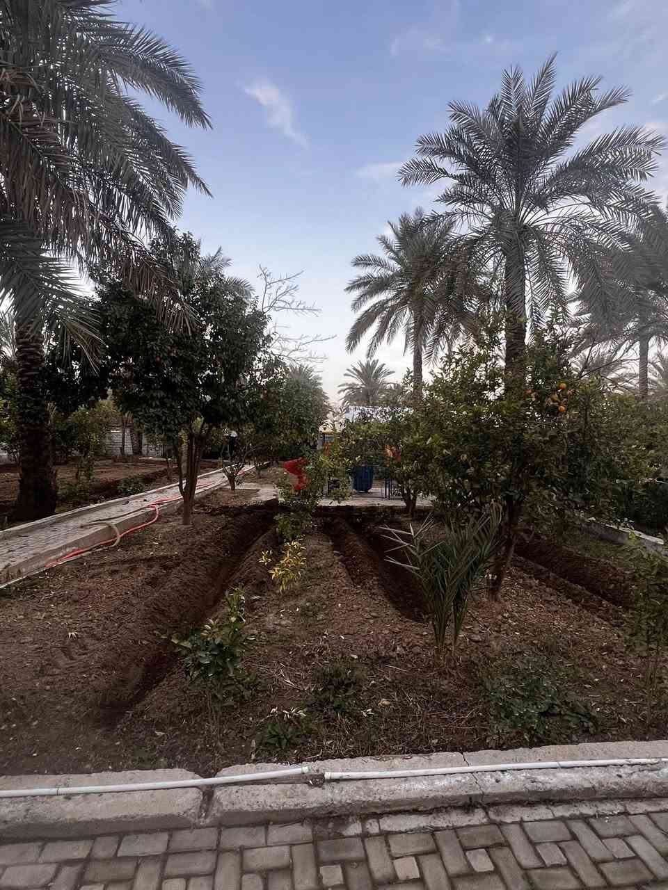 للايجار اليومي للاتصال ***********
