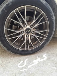 ويل كب ١٦ • مرواس بويل ١٥ • بابل المسيب