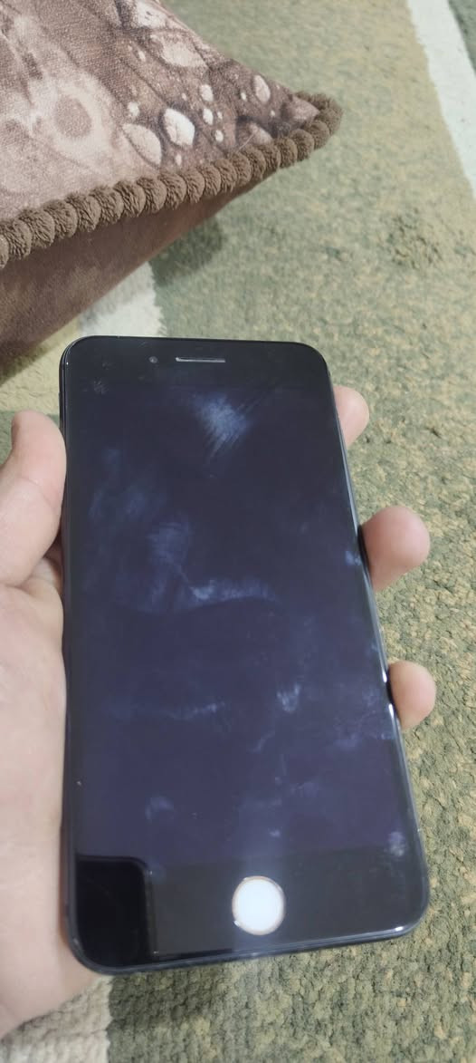 ايفون 8 بلص ذاكره 256 كلشي شغال بي يرادله صيانه كامرات فقط سعر 80 الف مكاني حله شارع 80 طريق النجف


**إذا كنت صاحب هذا الإعلان وتريد حذفه لأي سبب، رجاءا أرسل رسالة إلى الدعم الفني**