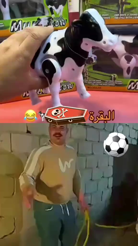 جميع انواع الألعاب ال استعراضيه بشكل وتفاصيل كامله...جميع العاب المعروضه بشكل مختلفه مع التصوير.. ل كسر روتين العرض بدن اي، اسائه الئ اي شخص.. تحياتي ان شاء الله الرزق و التوفيق للجميع #العاب_اطفال #مكتبة #والعاب #المنتظر 💐 💐


**إذا كنت صاحب هذا الإعلان وتريد حذفه لأي سبب، رجاءا أرسل رسالة إلى الدعم الفني**