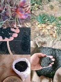 زريعة • بذور • بذور تونسية • زريعة فقوس • زريعة حمص • زريعة فول • زريع...